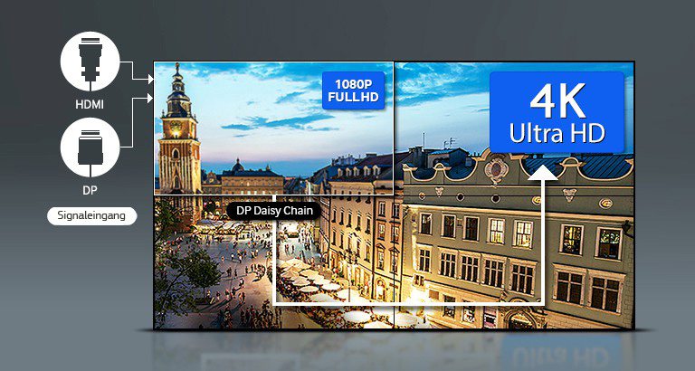 Samsung UD55E-P rent