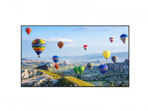 49 Zoll UHD Display - Panasonic TH-49SQ1WA (Neuware) kaufen