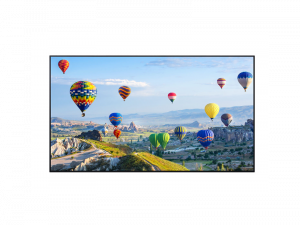 55 Zoll UHD Display - Panasonic TH-55SQ1WA (Neuware) kaufen