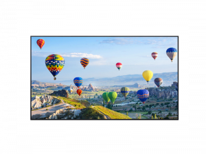 75 Zoll UHD Display - Panasonic TH-75SQ1W (Neuware) kaufen