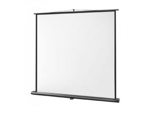 Pull-Up Leinwand - Celexon Professional (Neuware) kaufen