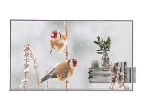55 Zoll Display - LG 55EW5P-M (Neuware) kaufen