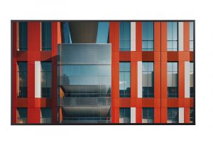 55 Zoll UHD Display - NEC MultiSync ME552 (Neuware) kaufen
