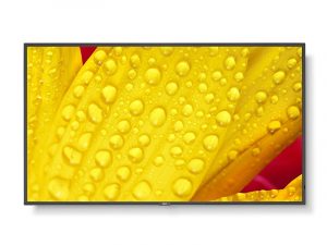 65 Zoll UHD Display - NEC MultiSync M651-2 (Neuware) kaufen